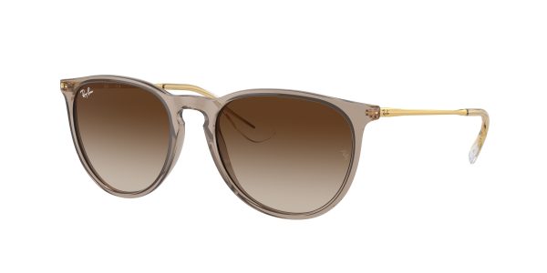 Ray-ban Erika RB4171