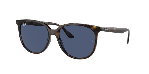 Ray-ban  RB4378F