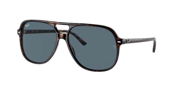 Ray-ban Bill RB2198