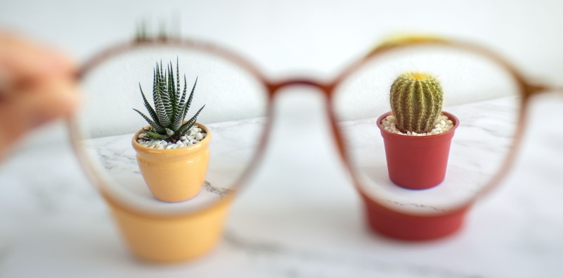 A pair of glasses being held up in front of two cactus pots as a visual representation of vision correction for nearsightedness