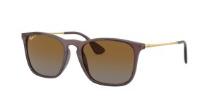 rayban_0rb4187_6593t5_transparent_brown_polarized_ref