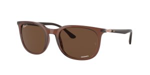 rayban_0rb4386_6652an_transparent_brown_polarized_ref