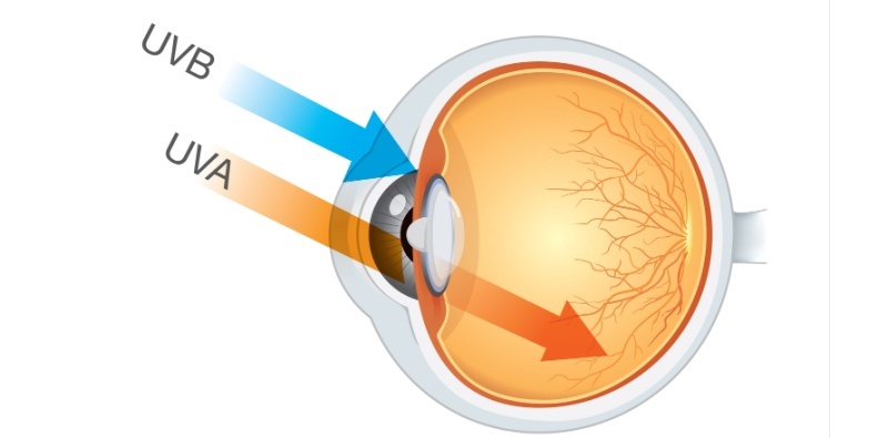 No More sun damage to eyes – UV, safety, and Maui Jim