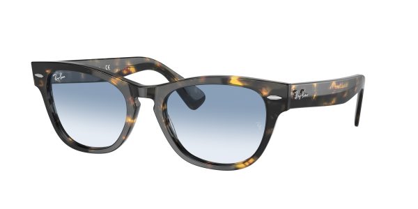 Ray-ban Laramie RB2201