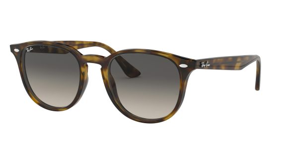 Ray-ban  RB4259