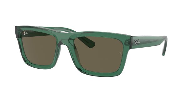 Ray-ban Warren RB4396