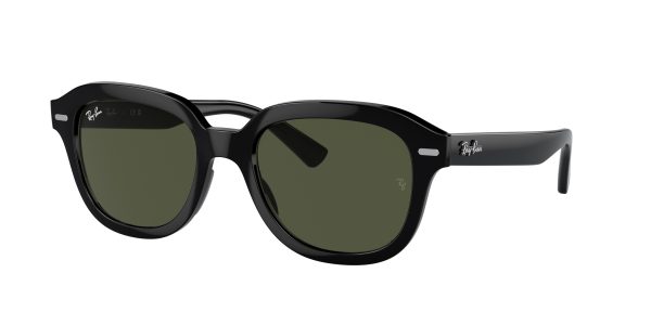 Ray-ban Erik RB4398F