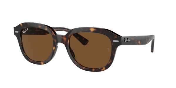 Ray-ban Erik RB4398F