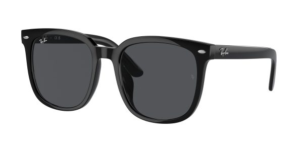 Ray-ban  RB4401D