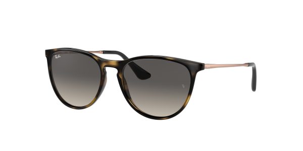 Ray-ban Junior Erika RJ9060S