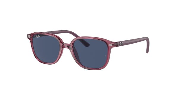 Ray-ban Junior Leonard RJ9093S