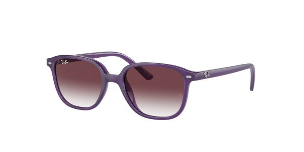 Ray-ban Junior Leonard RJ9093S