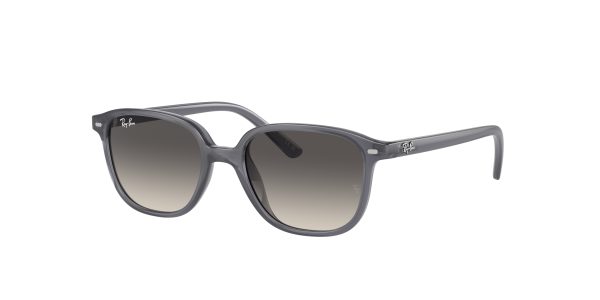 Ray-ban Junior Leonard RJ9093S