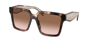 prada_0pr_24zs_07r0a6_caramel_tortoise_ref