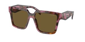 prada_0pr_24zs_18n01t_tortoise_cognac_begonia_ref