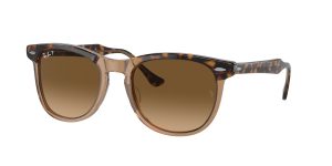 rayban_0rb2398_1292m2_havana_on_transparent_brown_polarized_ref