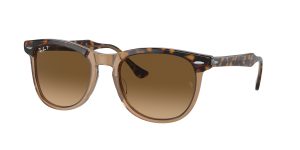 rayban_0rb2398f_1292m2_havana_on_transparent_brown_polarized_ref