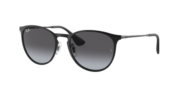 Ray-ban Erika Metal RB3539