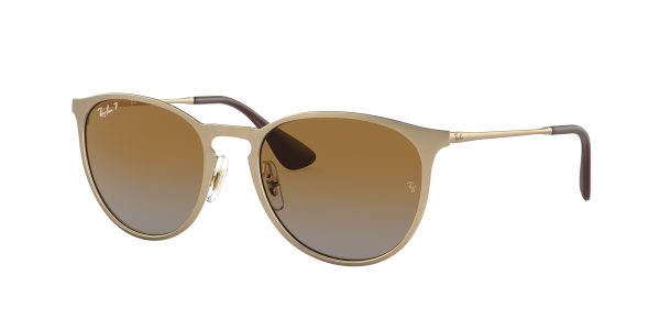 Ray-ban Erika Metal RB3539