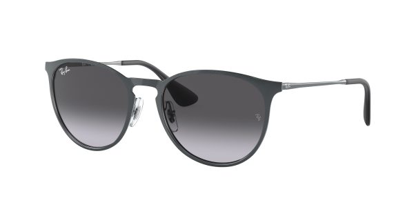 Ray-ban Erika Metal RB3539