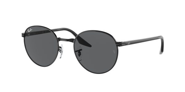 Ray-ban  RB3691