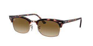 rayban_0rb3916_133751_pink_havana_ref