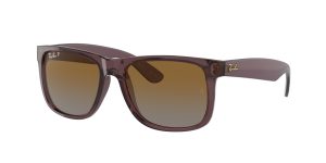 rayban_0rb4165_6597t5_transparent_dark_brown_polarized_ref