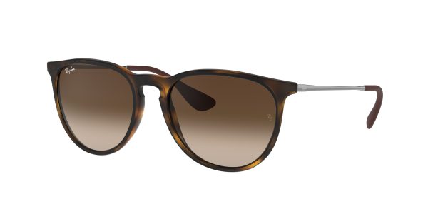 Ray-ban Erika RB4171F