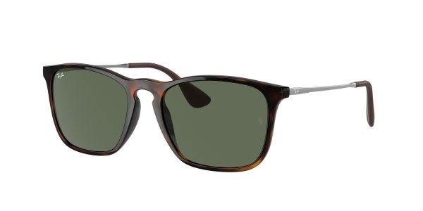 Ray-ban Chris RB4187