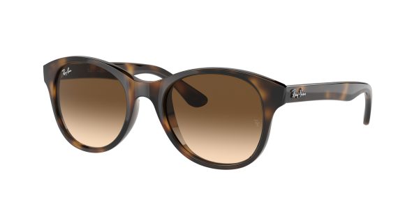 Ray-ban  RB4203