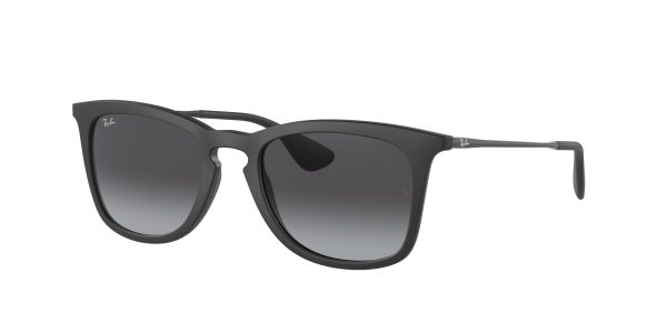 Ray-ban  RB4221