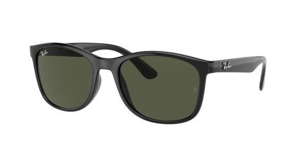 Ray-ban  RB4374