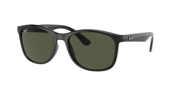 Ray-ban  RB4374F