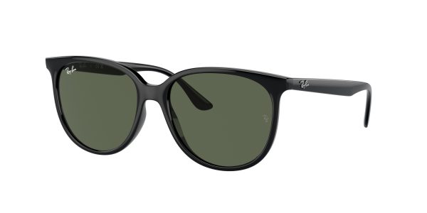 Ray-ban  RB4378