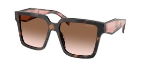 prada_0pr_24zsf_23a0a6_mauve_tortoise_ref