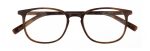 5060 Brown Tortoise