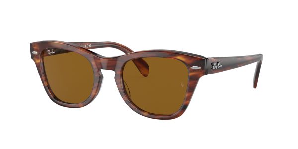 Ray-ban  RB0707S