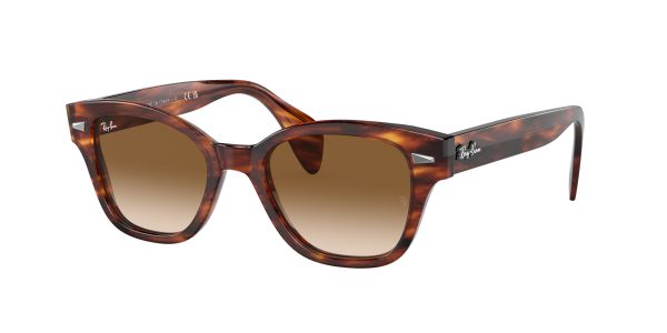 Ray-ban  RB0880S