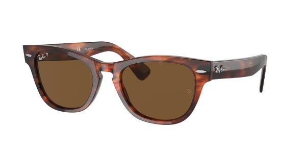 Ray-ban Laramie RB2201