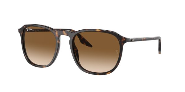 Ray-ban  RB2203