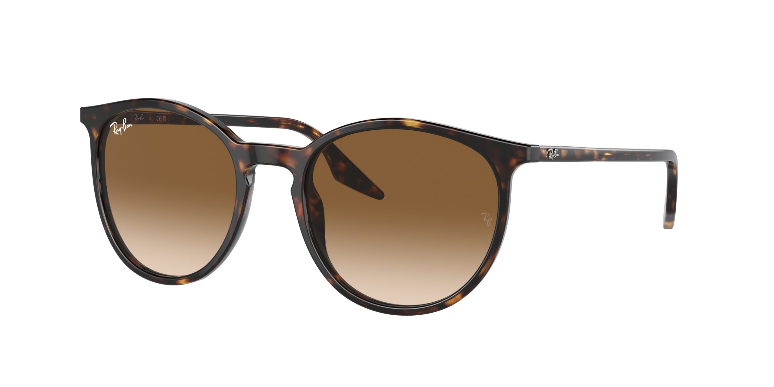 Ray-ban  RB2204