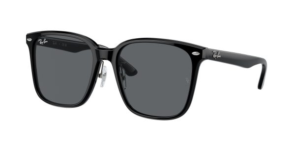 Ray-ban  RB2206D