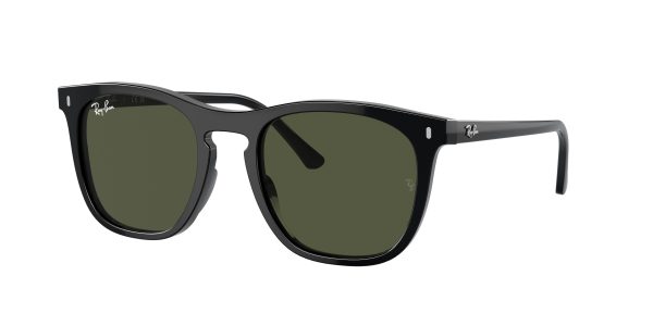 Ray-ban  RB2210