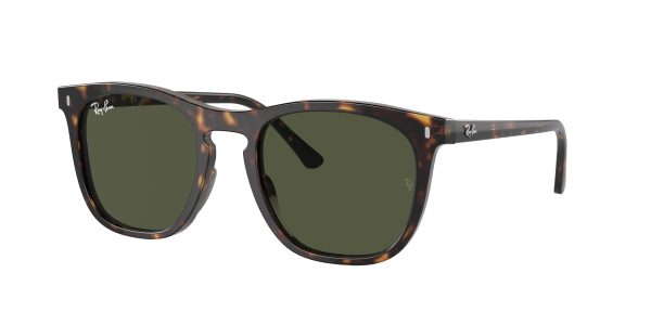 Ray-ban  RB2210F