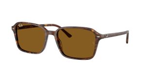 rayban_0rb2231_141833_transparent_fantasy_brown_ref