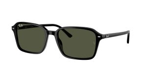 rayban_0rb2231_901_31_black_ref