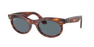 rayban_0rb2242_954_3r_striped_havana_polarized_ref