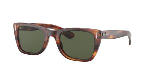 rayban_0rb2248_954_31_striped_havana_ref