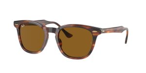 rayban_0rb2298_954_33_striped_havana_ref