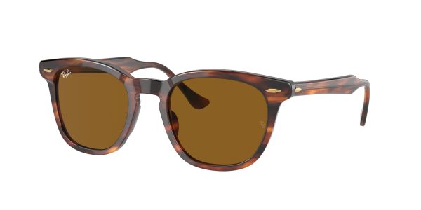 Ray-ban Hawkeye RB2298